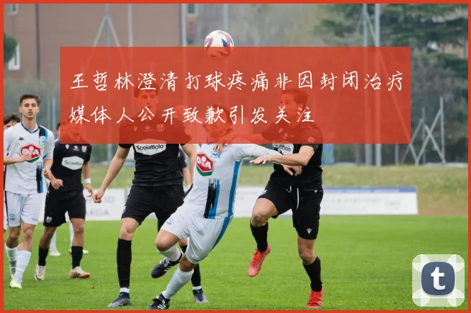 王哲林澄清打球疼痛非因封闭治疗媒体人公开致歉引发关注