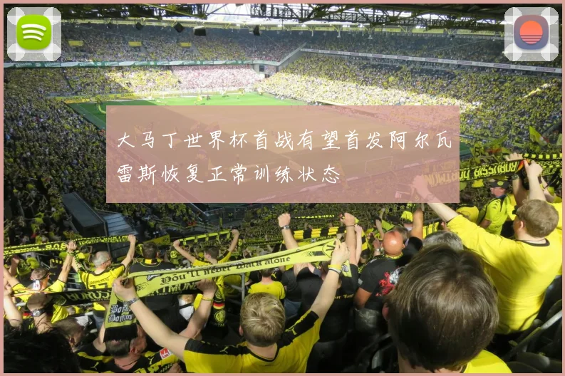 大马丁世界杯首战有望首发阿尔瓦雷斯恢复正常训练状态