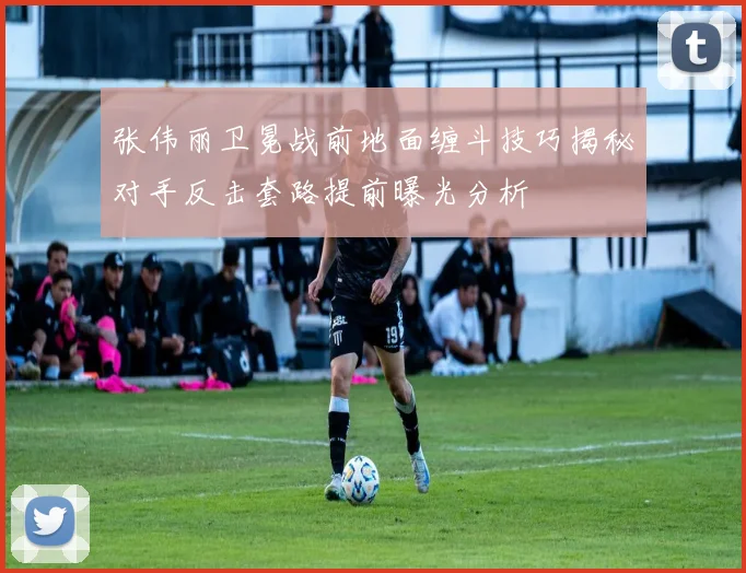 张伟丽卫冕战前地面缠斗技巧揭秘对手反击套路提前曝光分析